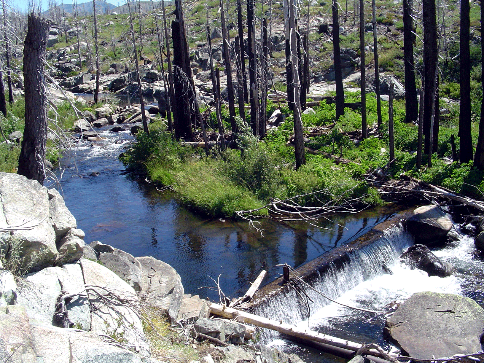 photograph of Sierra Nevada mountains