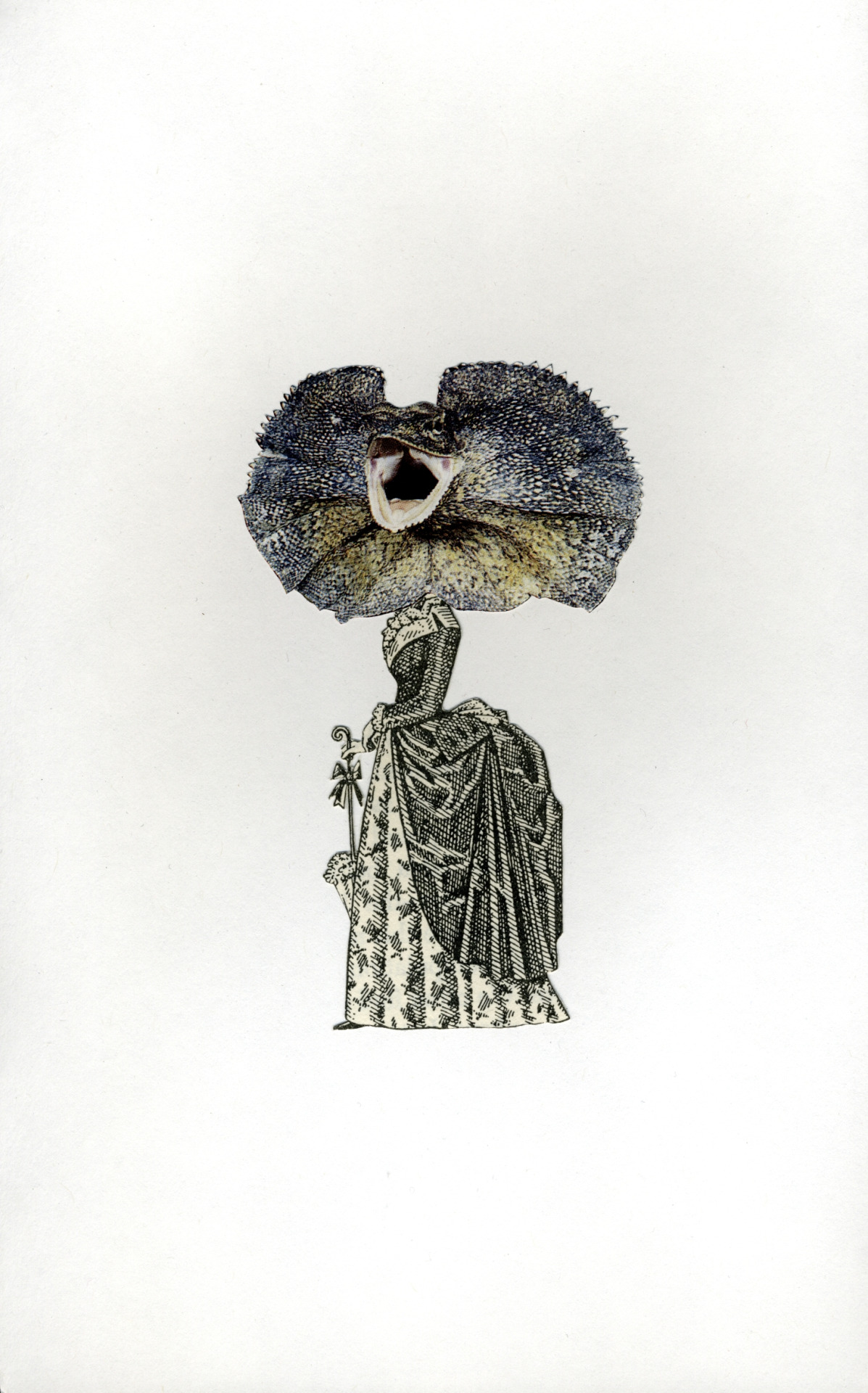 collage by andrew james weatherhead